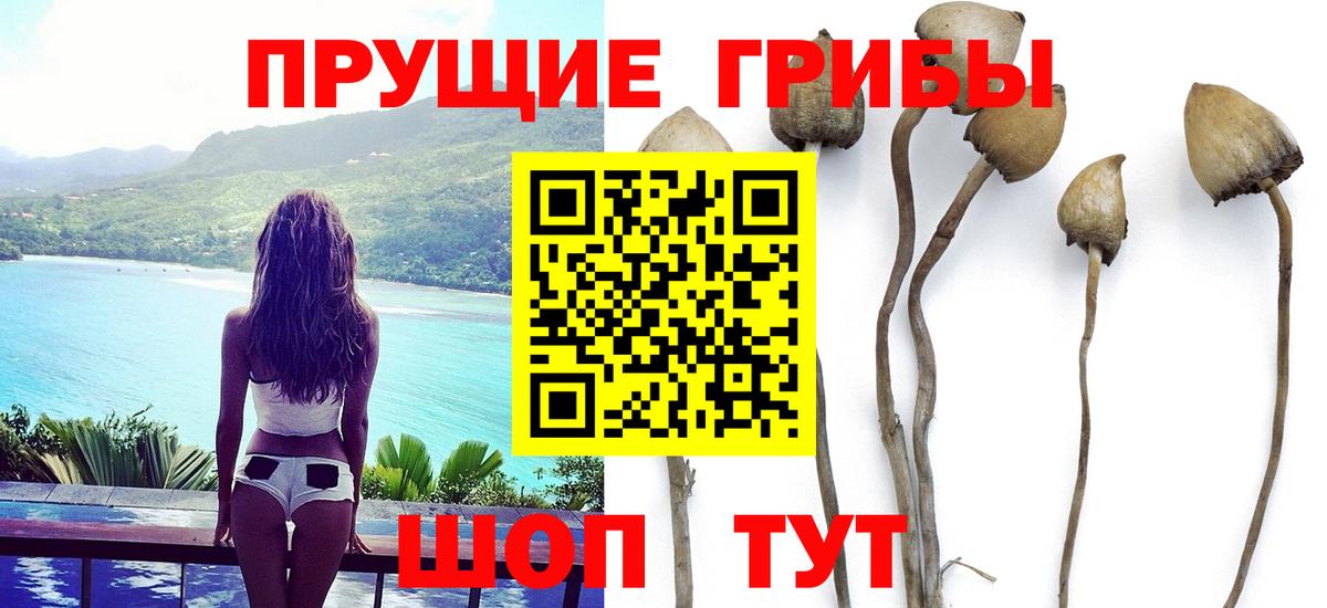 Псилоцибиновые грибы ЛСД Когалым